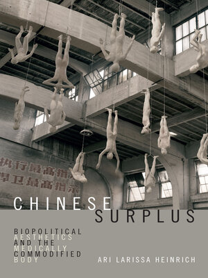 cover image of Chinese Surplus